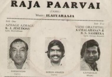 Raja paarvai
